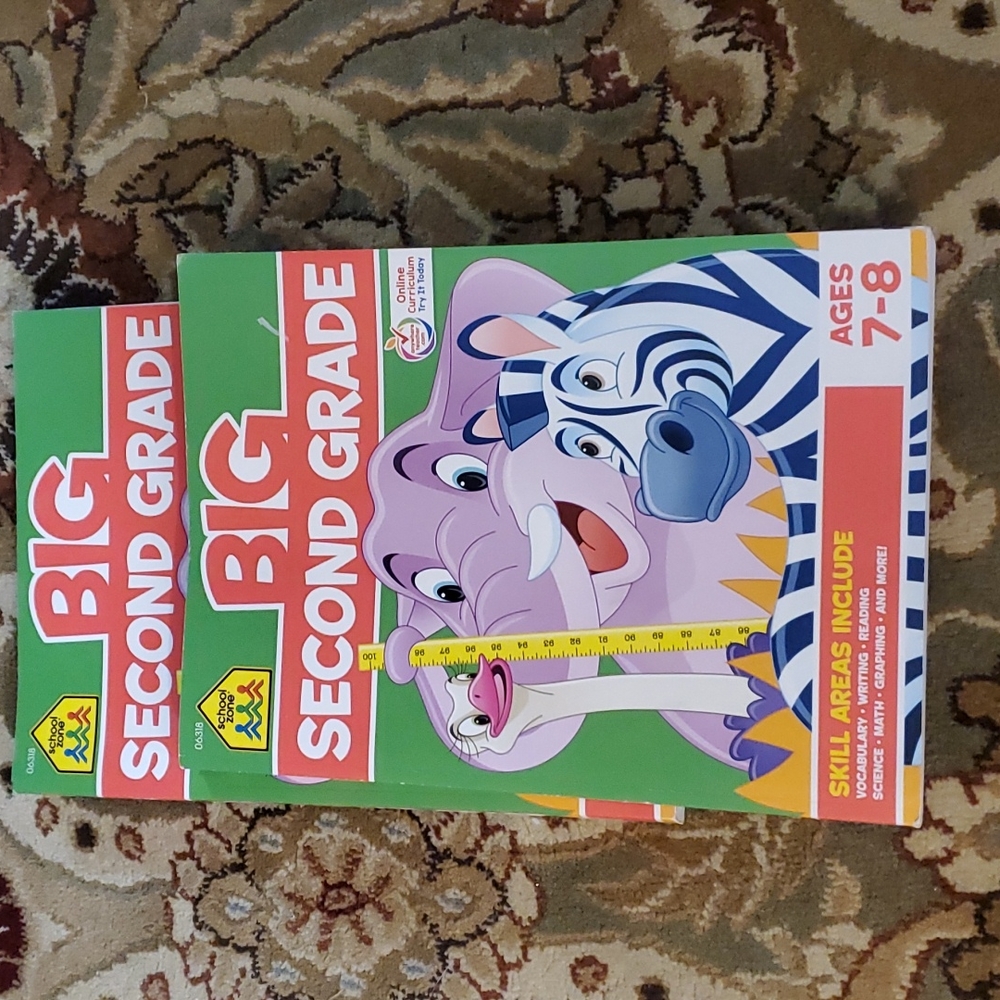 BIG second grade workbook